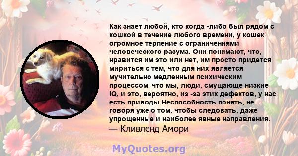 Как знает любой, кто когда -либо был рядом с кошкой в ​​течение любого времени, у кошек огромное терпение с ограничениями человеческого разума. Они понимают, что, нравится им это или нет, им просто придется мириться с