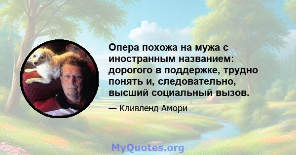 Опера похожа на мужа с иностранным названием: дорогого в поддержке, трудно понять и, следовательно, высший социальный вызов.