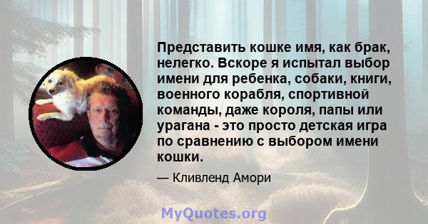 Представить кошке имя, как брак, нелегко. Вскоре я испытал выбор имени для ребенка, собаки, книги, военного корабля, спортивной команды, даже короля, папы или урагана - это просто детская игра по сравнению с выбором