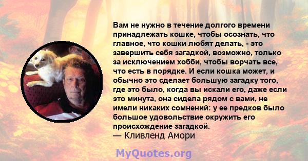 Вам не нужно в течение долгого времени принадлежать кошке, чтобы осознать, что главное, что кошки любят делать, - это завершить себя загадкой, возможно, только за исключением хобби, чтобы ворчать все, что есть в