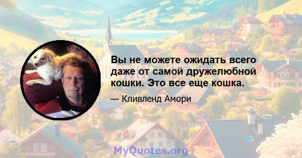 Вы не можете ожидать всего даже от самой дружелюбной кошки. Это все еще кошка.