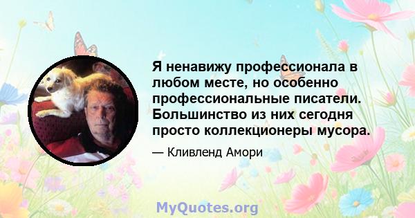 Я ненавижу профессионала в любом месте, но особенно профессиональные писатели. Большинство из них сегодня просто коллекционеры мусора.