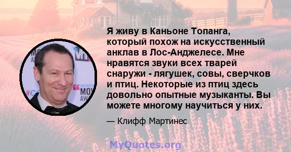 Я живу в Каньоне Топанга, который похож на искусственный анклав в Лос-Анджелесе. Мне нравятся звуки всех тварей снаружи - лягушек, совы, сверчков и птиц. Некоторые из птиц здесь довольно опытные музыканты. Вы можете