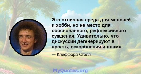 Это отличная среда для мелочей и хобби, но не место для обоснованного, рефлексивного суждения. Удивительно, что дискуссии дегенерируют в ярость, оскорбления и пламя.