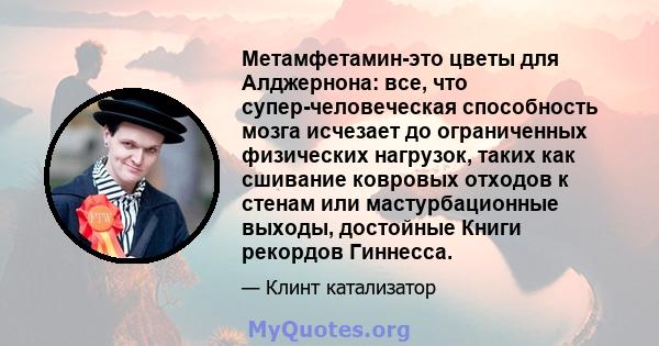 Метамфетамин-это цветы для Алджернона: все, что супер-человеческая способность мозга исчезает до ограниченных физических нагрузок, таких как сшивание ковровых отходов к стенам или мастурбационные выходы, достойные Книги 