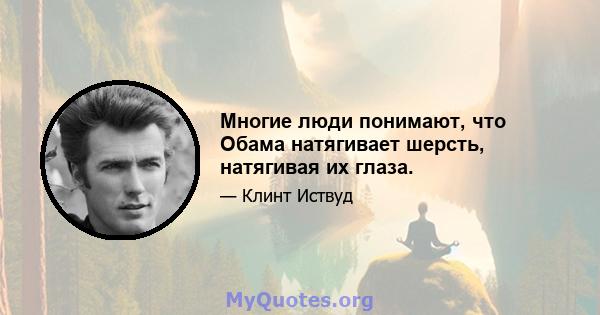 Многие люди понимают, что Обама натягивает шерсть, натягивая их глаза.