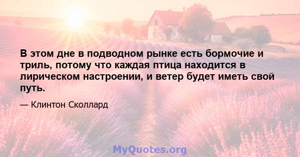 В этом дне в подводном рынке есть бормочие и триль, потому что каждая птица находится в лирическом настроении, и ветер будет иметь свой путь.