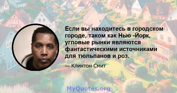 Если вы находитесь в городском городе, таком как Нью -Йорк, угловые рынки являются фантастическими источниками для тюльпанов и роз.