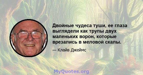 Двойные чудеса туши, ее глаза выглядели как трупы двух маленьких ворон, которые врезались в меловой скалы.