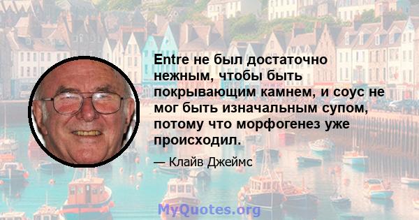 Entre не был достаточно нежным, чтобы быть покрывающим камнем, и соус не мог быть изначальным супом, потому что морфогенез уже происходил.