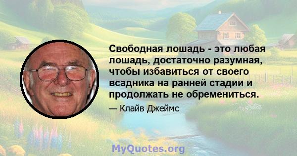 Свободная лошадь - это любая лошадь, достаточно разумная, чтобы избавиться от своего всадника на ранней стадии и продолжать не обремениться.