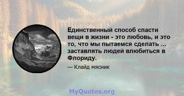 Единственный способ спасти вещи в жизни - это любовь, и это то, что мы пытаемся сделать ... заставлять людей влюбиться в Флориду.