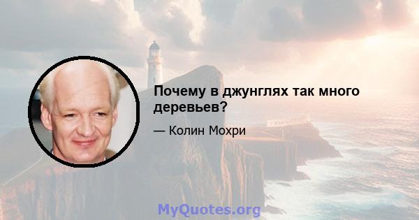 Почему в джунглях так много деревьев?