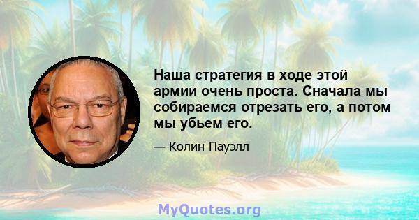 Наша стратегия в ходе этой армии очень проста. Сначала мы собираемся отрезать его, а потом мы убьем его.