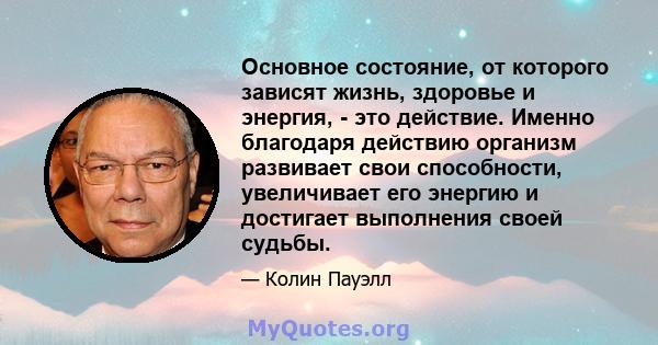 Основное состояние, от которого зависят жизнь, здоровье и энергия, - это действие. Именно благодаря действию организм развивает свои способности, увеличивает его энергию и достигает выполнения своей судьбы.