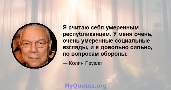 Я считаю себя умеренным республиканцем. У меня очень, очень умеренные социальные взгляды, и я довольно сильно, по вопросам обороны.