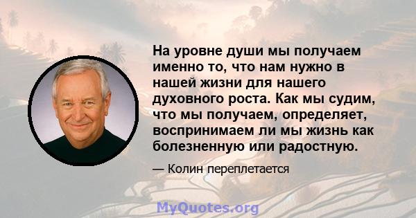 На уровне души мы получаем именно то, что нам нужно в нашей жизни для нашего духовного роста. Как мы судим, что мы получаем, определяет, воспринимаем ли мы жизнь как болезненную или радостную.