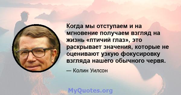 Когда мы отступаем и на мгновение получаем взгляд на жизнь «птичий глаз», это раскрывает значения, которые не оценивают узкую фокусировку взгляда нашего обычного червя.