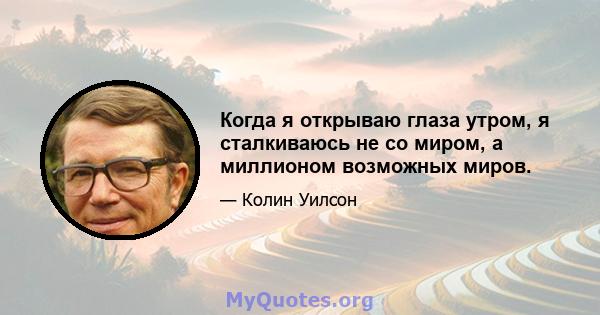 Когда я открываю глаза утром, я сталкиваюсь не со миром, а миллионом возможных миров.