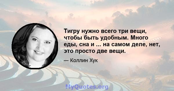 Тигру нужно всего три вещи, чтобы быть удобным. Много еды, сна и ... на самом деле, нет, это просто две вещи.