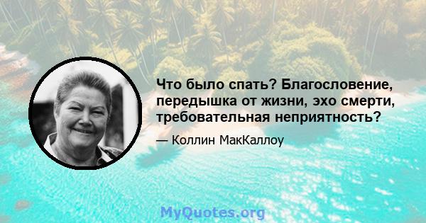 Что было спать? Благословение, передышка от жизни, эхо смерти, требовательная неприятность?