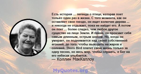 Есть история ... легенда о птице, которая поет только один раз в жизни. С того момента, как он оставляет свое гнездо, он ищет колючие дерева ... и никогда не отдыхает, пока не найдет его. А потом он поет ... более