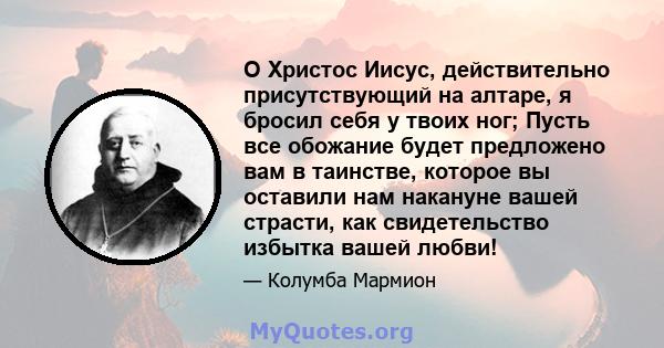 О Христос Иисус, действительно присутствующий на алтаре, я бросил себя у твоих ног; Пусть все обожание будет предложено вам в таинстве, которое вы оставили нам накануне вашей страсти, как свидетельство избытка вашей