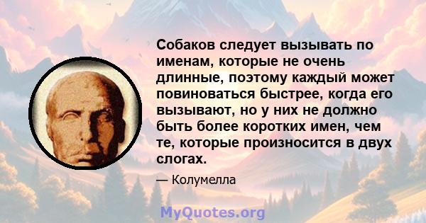 Собаков следует вызывать по именам, которые не очень длинные, поэтому каждый может повиноваться быстрее, когда его вызывают, но у них не должно быть более коротких имен, чем те, которые произносится в двух слогах.