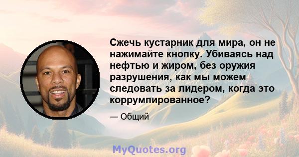 Сжечь кустарник для мира, он не нажимайте кнопку. Убиваясь над нефтью и жиром, без оружия разрушения, как мы можем следовать за лидером, когда это коррумпированное?