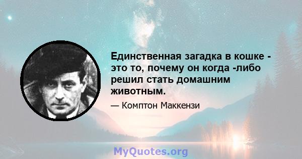 Единственная загадка в кошке - это то, почему он когда -либо решил стать домашним животным.