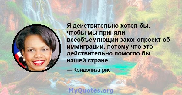 Я действительно хотел бы, чтобы мы приняли всеобъемлющий законопроект об иммиграции, потому что это действительно помогло бы нашей стране.