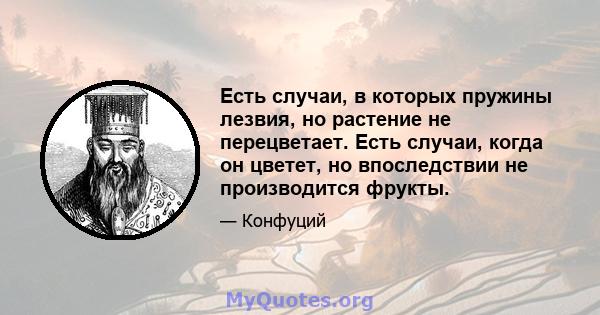 Есть случаи, в которых пружины лезвия, но растение не перецветает. Есть случаи, когда он цветет, но впоследствии не производится фрукты.