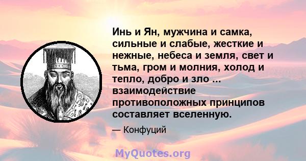 Инь и Ян, мужчина и самка, сильные и слабые, жесткие и нежные, небеса и земля, свет и тьма, гром и молния, холод и тепло, добро и зло ... взаимодействие противоположных принципов составляет вселенную.