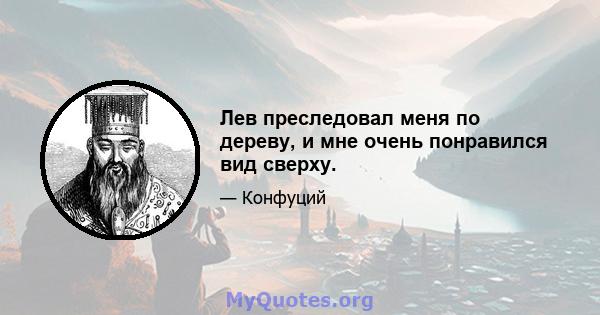 Лев преследовал меня по дереву, и мне очень понравился вид сверху.