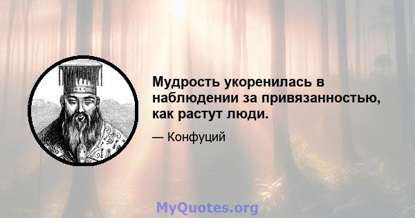 Мудрость укоренилась в наблюдении за привязанностью, как растут люди.