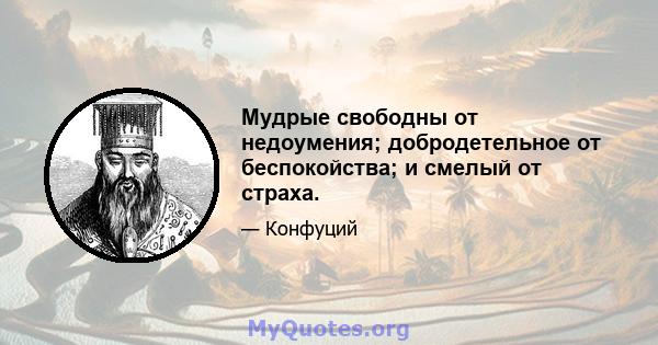 Мудрые свободны от недоумения; добродетельное от беспокойства; и смелый от страха.