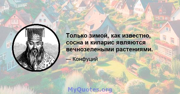 Только зимой, как известно, сосна и кипарис являются вечнозелеными растениями.