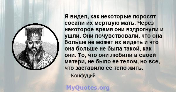 Я видел, как некоторые поросят сосали их мертвую мать. Через некоторое время они вздрогнули и ушли. Они почувствовали, что она больше не может их видеть и что она больше не была такой, как они. То, что они любили в