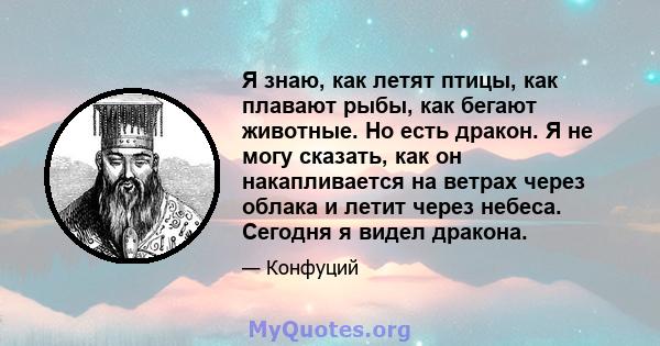 Я знаю, как летят птицы, как плавают рыбы, как бегают животные. Но есть дракон. Я не могу сказать, как он накапливается на ветрах через облака и летит через небеса. Сегодня я видел дракона.