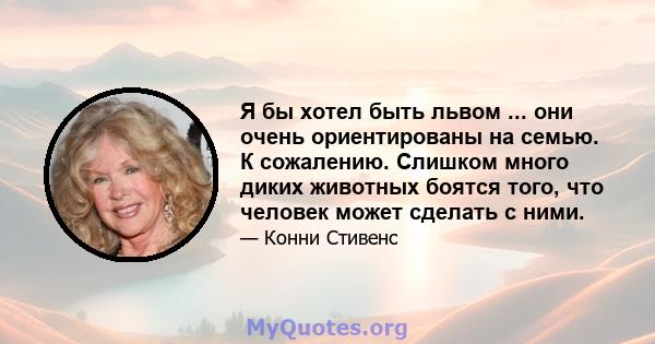 Я бы хотел быть львом ... они очень ориентированы на семью. К сожалению. Слишком много диких животных боятся того, что человек может сделать с ними.