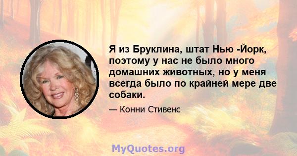 Я из Бруклина, штат Нью -Йорк, поэтому у нас не было много домашних животных, но у меня всегда было по крайней мере две собаки.