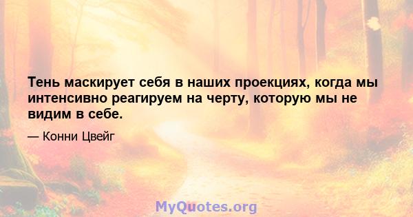 Тень маскирует себя в наших проекциях, когда мы интенсивно реагируем на черту, которую мы не видим в себе.