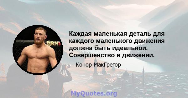 Каждая маленькая деталь для каждого маленького движения должна быть идеальной. Совершенство в движении.