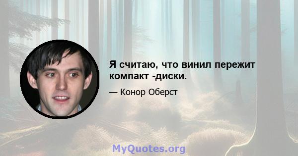 Я считаю, что винил пережит компакт -диски.