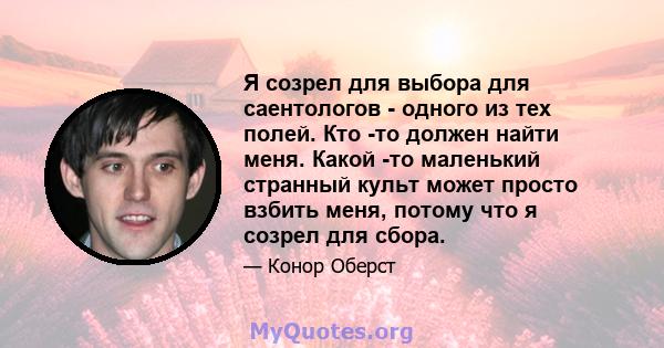 Я созрел для выбора для саентологов - одного из тех полей. Кто -то должен найти меня. Какой -то маленький странный культ может просто взбить меня, потому что я созрел для сбора.