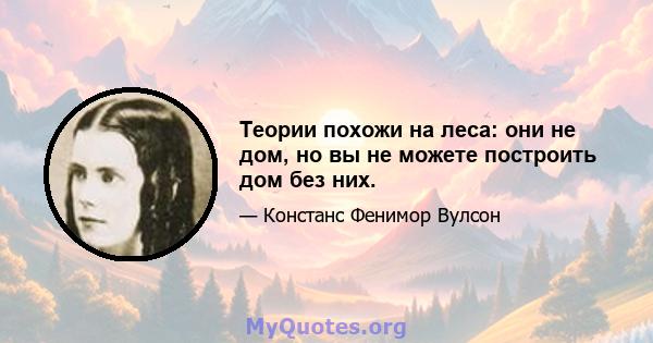 Теории похожи на леса: они не дом, но вы не можете построить дом без них.