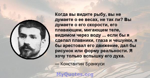 Когда вы видите рыбу, вы не думаете о ее весах, не так ли? Вы думаете о его скорости, его плавающем, мигающем теле, видимом через воду ... если бы я сделал плавники, глаза и чешуйки, я бы арестовал его движение, дал бы