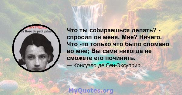 Что ты собираешься делать? - спросил он меня. Мне? Ничего. Что -то только что было сломано во мне; Вы сами никогда не сможете его починить.