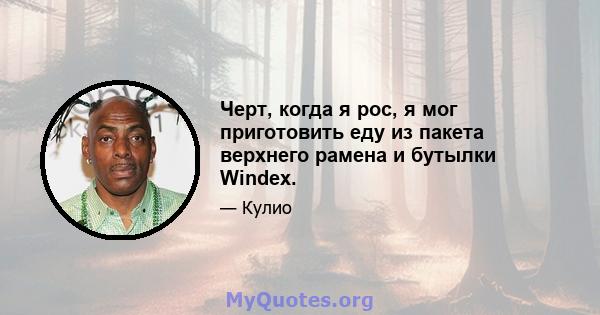 Черт, когда я рос, я мог приготовить еду из пакета верхнего рамена и бутылки Windex.