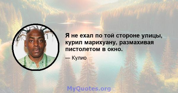 Я не ехал по той стороне улицы, курил марихуану, размахивая пистолетом в окно.